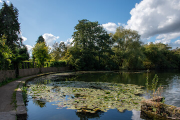 A landscape with a small lake surrounded by trees with reflection on water.