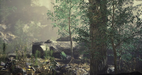 A serene forest setting with lush green trees surrounding a large rock formation. Soft light filters through the foliage, creating a peaceful atmosphere in nature.