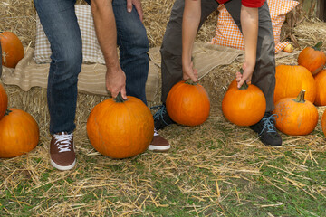 father and son lifting and carrying three large orange pumpkins at an outdoor autumn harvest display on straw and grass, concept of fall festival, family farm, seasonal activities