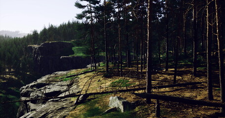Amidst a vibrant forest, a rugged cliff rises proudly under a clear blue sky. Sunlight filters through the trees, illuminating the rocky terrain. Nature thrives in this serene landscape.