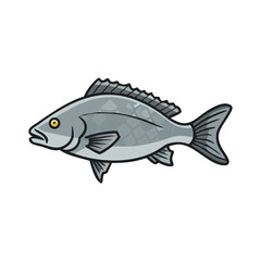 Illustration of a gray fish with yellow eye and prominent dorsal fin