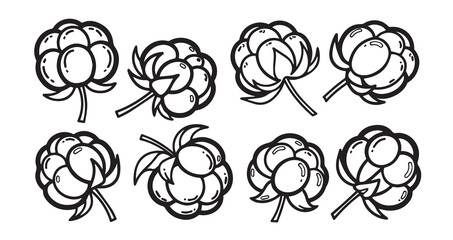 Cloudberry Fruits Line Art Hand Drawn Fruit Outline