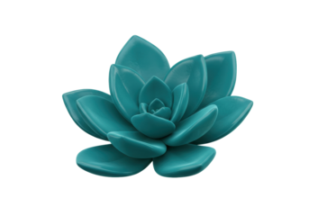 Teal succulent plant isolated on transparent background, decorative rosette with fleshy leaves in a vibrant blue-green hue for design elements