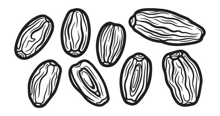 Date Fruits Line Art Healthy Fresh Food Sketch