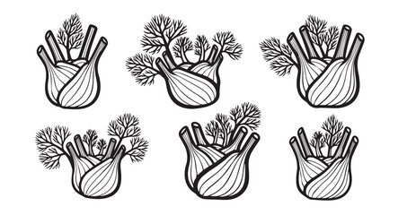 Fennel Bulb Vegetable Line Art Botanical Sketch Vector