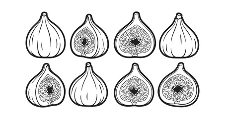 Fig Fruits Line Art Botanical Fruit Illustration