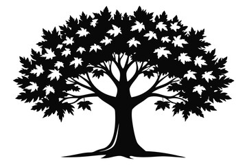 Obraz premium Silhouette of a Maple Tree with Dense Foliage, Dark Branches and Trunk
