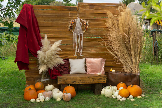 Rustic outdoor autumn photo booth with wooden plank backdrop, bench, fall foliage wreath, and assortment of orange and white pumpkins, empty space, seasonal decor, harvest festival, holiday theme