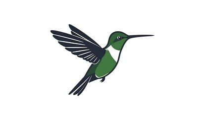 Fototapeta premium Hummingbird in flight