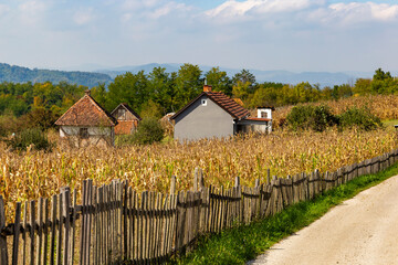 Cornfield and rural houses in the mountainous part of the Balkans