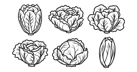 Lettuce Vegetable Line Art Organic Food Design