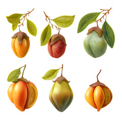 Obraz premium Ackee Fruit - Naturally vibrant red and yellow Ackee Fruit, realistic produce isolation, studio shot