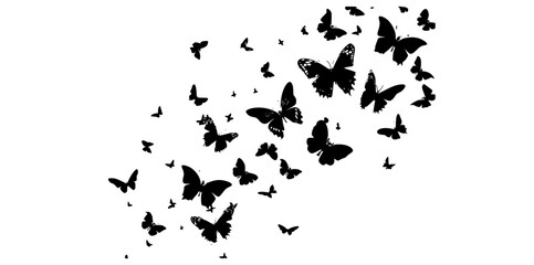 Fototapeta premium a flock of butterflies flying in the shape of a heartblack, butterfly, flock, fly, sky, white 
