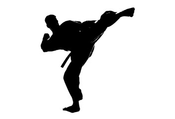 a silhouette of a man performing a karate kickart, belt, black, karate, kick, man, martial, profile 