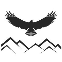 Obraz premium eagle with wings