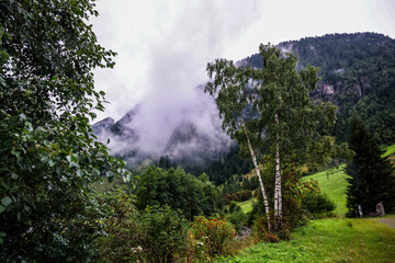 Foggy Swiss Alps with lush green peaks / Alpes suizos brumosos con picos verdes / Neblige Schweizer...