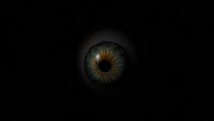 3D model of a human eye on a black background, a large pupil with iris details and highlights, eye