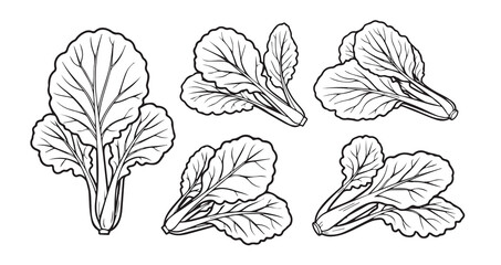 Mustard Greens Vegetable Line Art Healthy Organic Outline