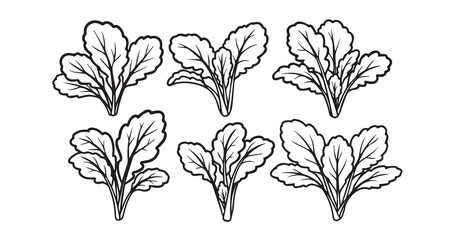 Mustard Greens Vegetable Line Art Healthy Organic Outline