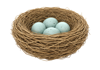 Bird nest with speckled eggs PNG isolated on transparent background, springtime symbol of new life and Easter decoration