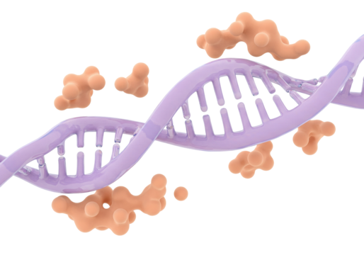 DNA molecule with proteins isolated on transparent background, genetic code structure in 3D rendering for science and medical research