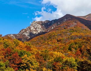 Fototapeta premium Autumn foliage-covered mountainside under a partly cloudy sky