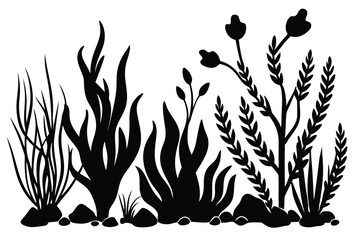 Black Silhouette of Aquatic Plants and Rocks Isolated on a White Background © kanchanrani