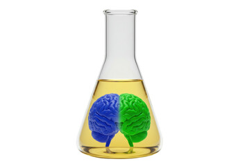 Brain halves in Erlenmeyer flask with yellow liquid isolated, concept of science and medicine, blue and green brain halves