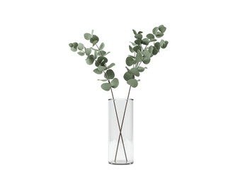 Eucalyptus branches in glass vase isolated on white, decorative greenery PNG for interior design and botanical compositions