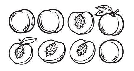 Peach Fruits Line Art Hand Drawn Fruit Outline