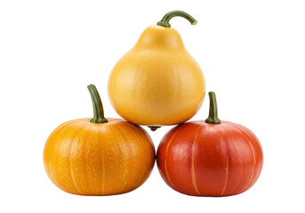 Three colorful pumpkins stacked isolated on transparent background, autumn harvest still life for Thanksgiving and Halloween decorations