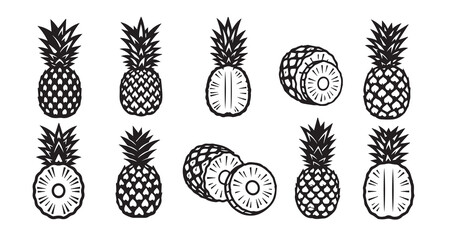 Pineapple Fruits Line Art Organic Food Vector Design