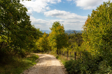 Gravel mountain road in the rural area of the Balkan mountains