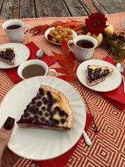 Cozy autumn picnic photo. Homemade baked goods, pie, tea, coffee. Blanket, mugs, thermos. Relaxation. A weekend in nature. Aesthetic photo. Picnic photo. For postcards, cookbooks, recipes, stickers