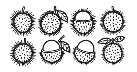 Rambutan Fruits Line Art Hand Drawn Fruit Outline