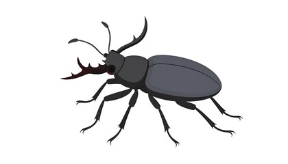 Cartoon beetle illustration