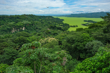 Suchitoto, El Salvador - August 29, 2025: Cerron Grande Reservoir, also known as Lake Suchitlan, covered with water lettuce in Suchitoto, El Salvador.