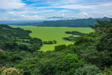 Suchitoto, El Salvador - August 29, 2025: Cerron Grande Reservoir, also known as Lake Suchitlan, covered with water lettuce in Suchitoto, El Salvador.