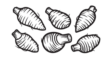 Taro Vegetable Line Art Organic Food Design
