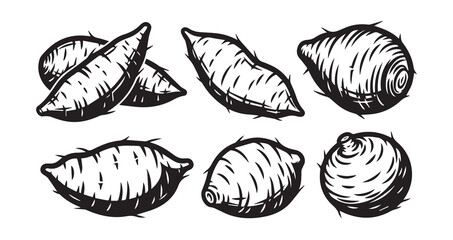Yam Vegetable Line Art Hand Drawn Leaf Vector
