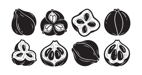 Ackee Fruits Line Art Minimal Outline Drawing