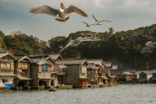 Ine Funaya in Kyoto, Japan
