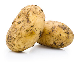 Two new potatoes stained with soil isolated on white background