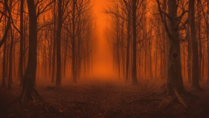 Mysterious Forest Path with Vibrant Orange Light and Silhouetted Trees.