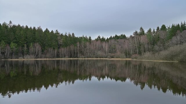 Spiegelung, See, Wald, Himmel, Wolken, M&uuml;lbener See, Waldbrunn, Odenwald, Baden-W&uuml;rttemberg, Deutschland
