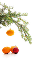 Christmas branch with tangerines and red bauble.