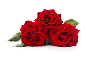 Bouquet of red roses isolated on white background.