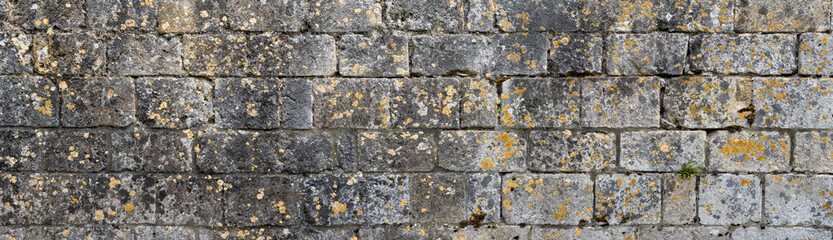 Weathered stone wall with lichen and moss stains