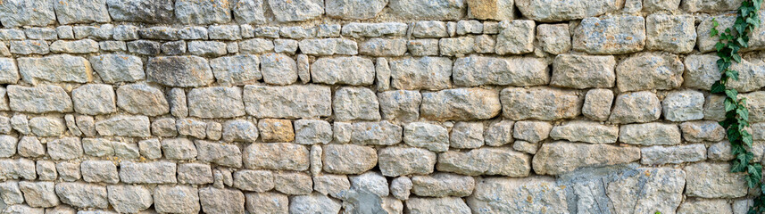Ancient rustic stone wall with climbing ivy