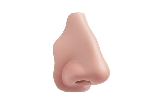 Realistic human nose isolated PNG, prosthetic makeup appliance for costume or medical use on transparent background